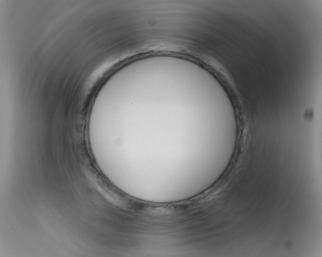 X0000115731027200911121121