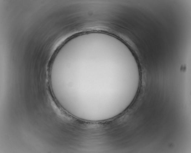 X0000115731031200911121121