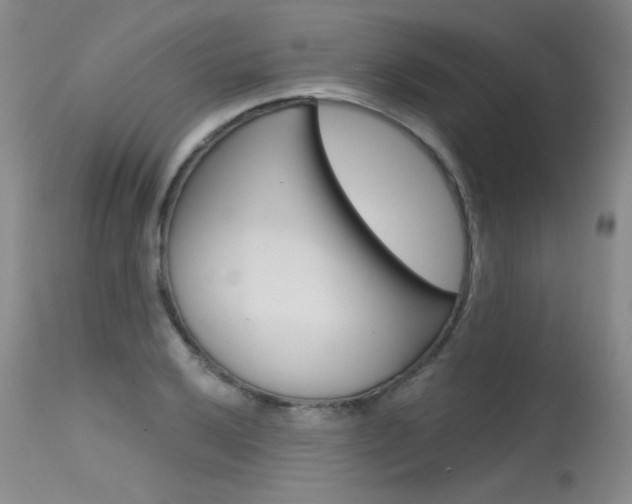 X0000115731032200911121121