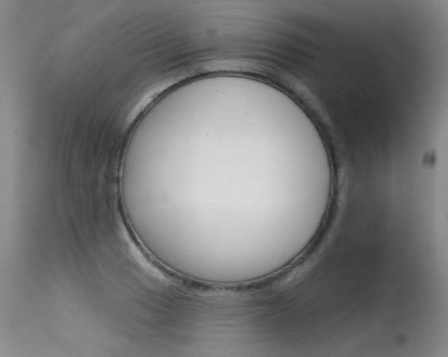 X0000115731033200911121121