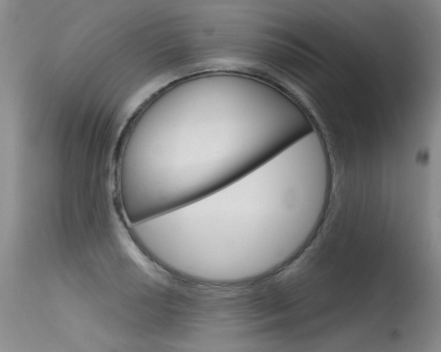 X0000115731034200911121121