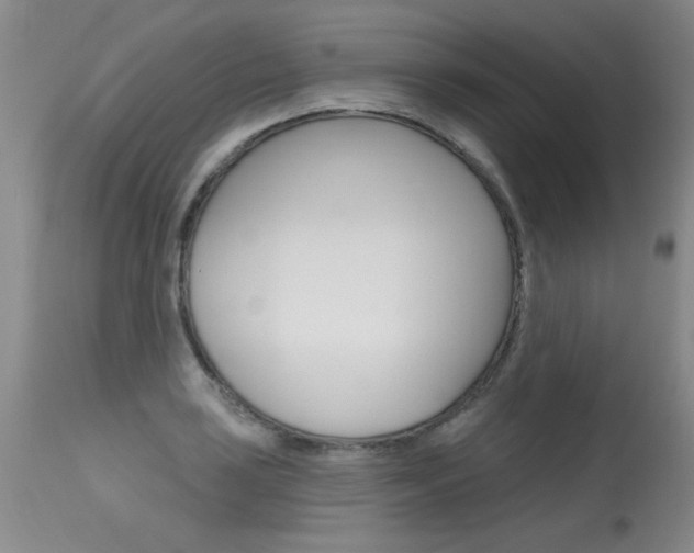 X0000115731035200911121121