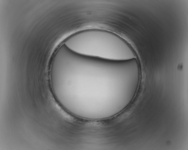 X0000115731037200911121121