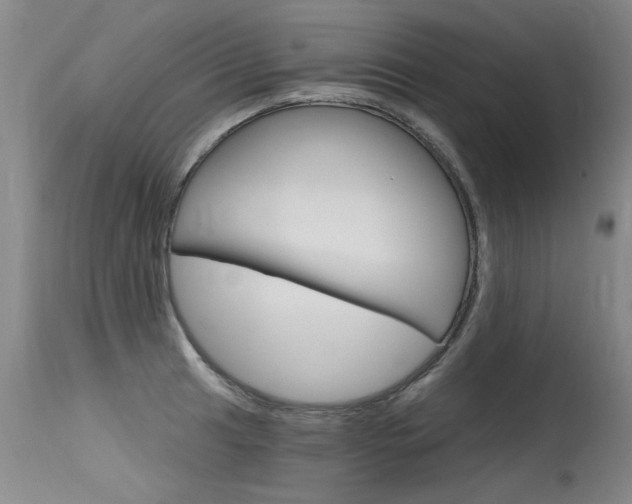 X0000115731041200911121121