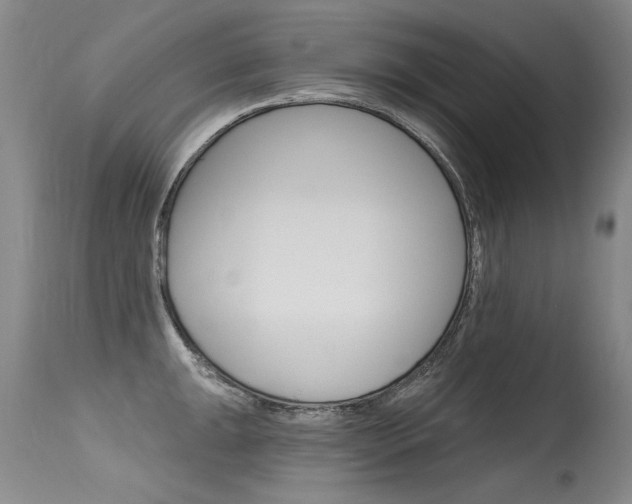 X0000115731047200911121121