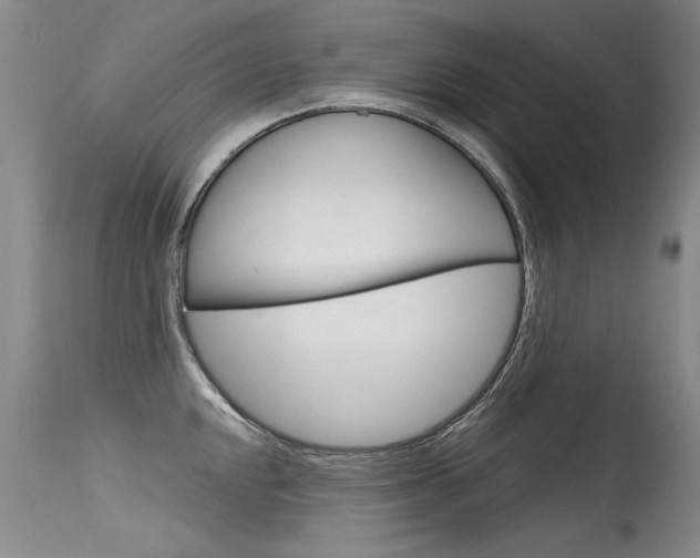 X0000115731048200911121121