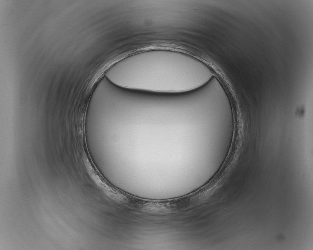 X0000115731049200911121121