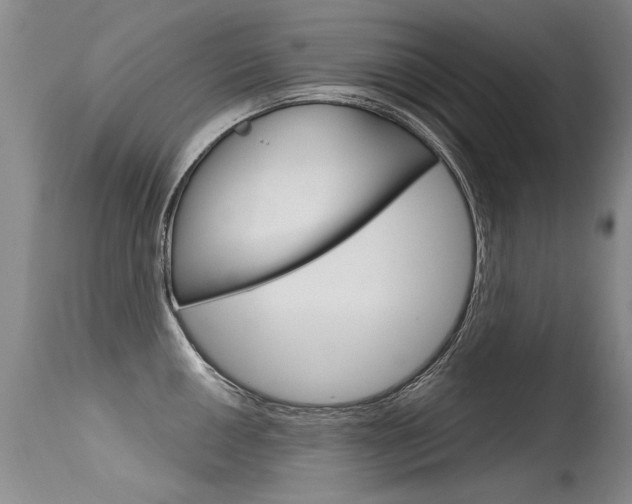 X0000115731050200911121121