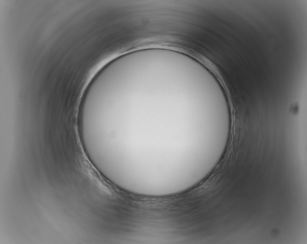 X0000115731051200911121121