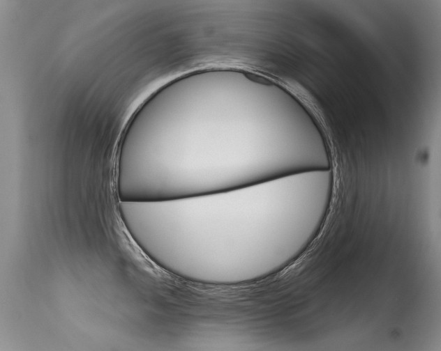 X0000115731052200911121121