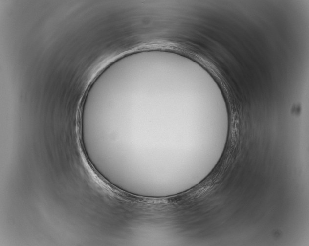 X0000115731055200911121121