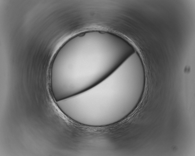 X0000115731056200911121121