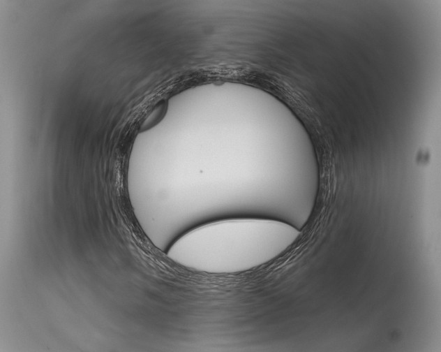X0000115731058200911121121
