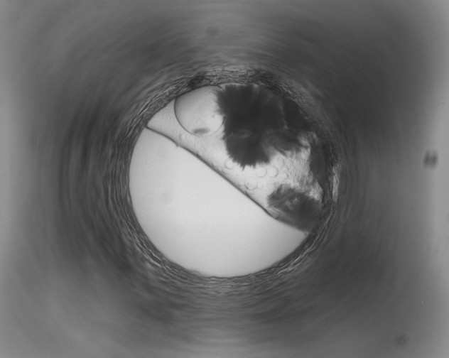 X0000115731059200911121121