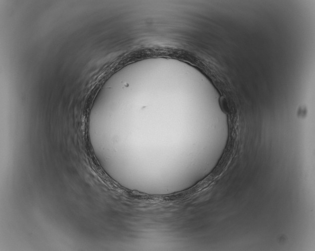 X0000115731061200911121121