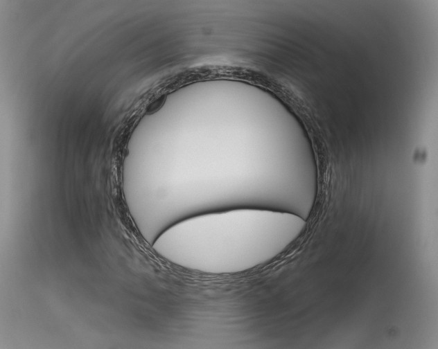 X0000115731062200911121121