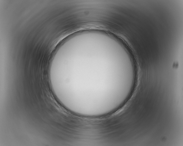 X0000115731065200911121120
