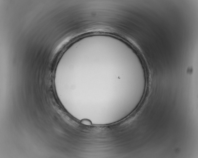 X0000115731067200911121120