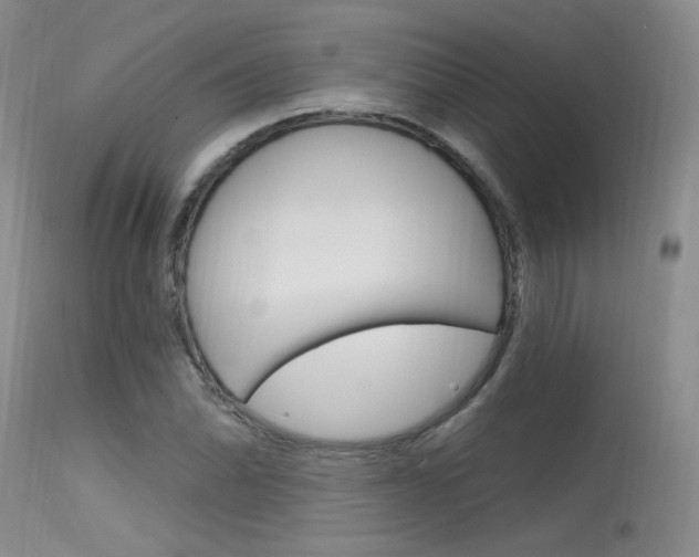 X0000115731070200911121120