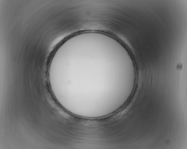 X0000115731071200911121120