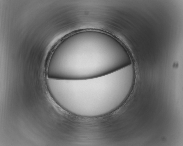 X0000115731072200911121120