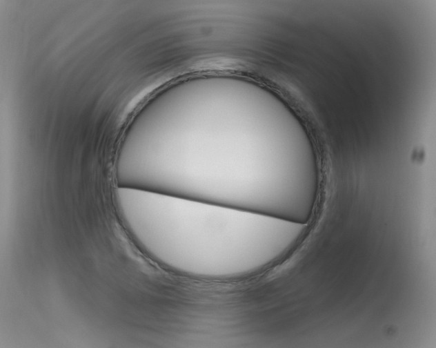X0000115731073200911121120