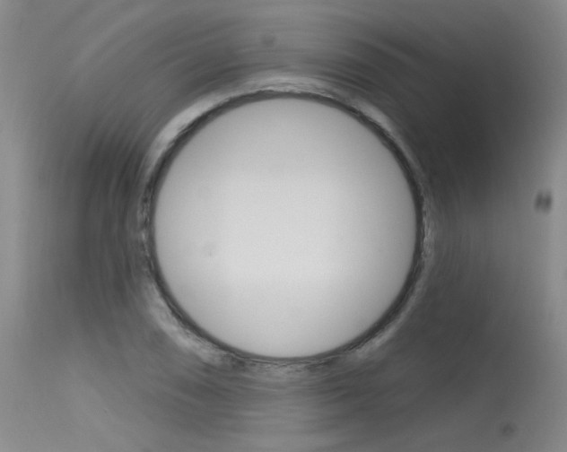 X0000115731074200911121120