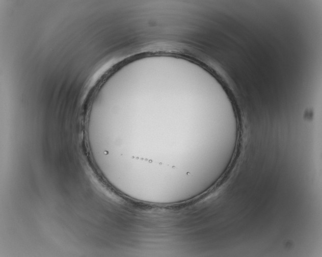 X0000115731075200911121120