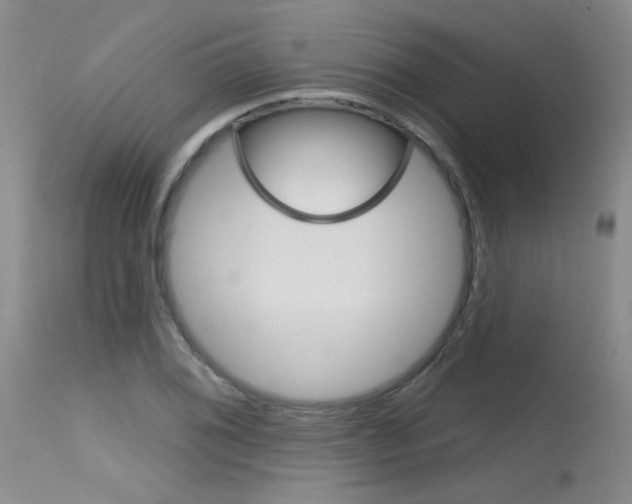 X0000115731076200911121120