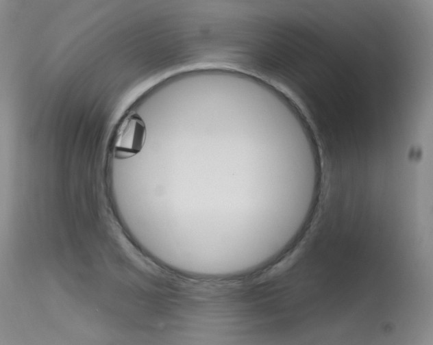 X0000115731077200911121120