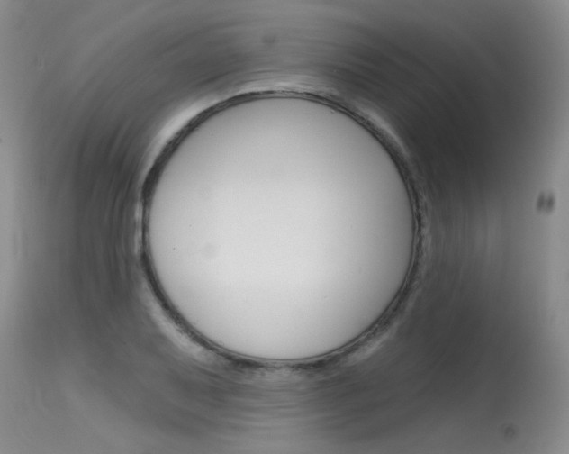 X0000115731079200911121120