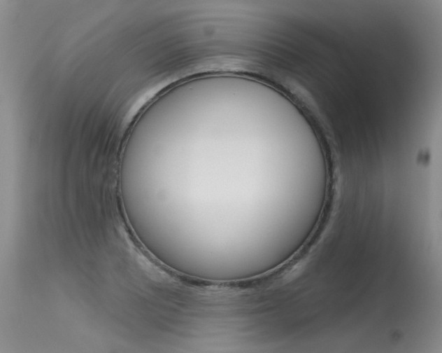 X0000115731081200911121120