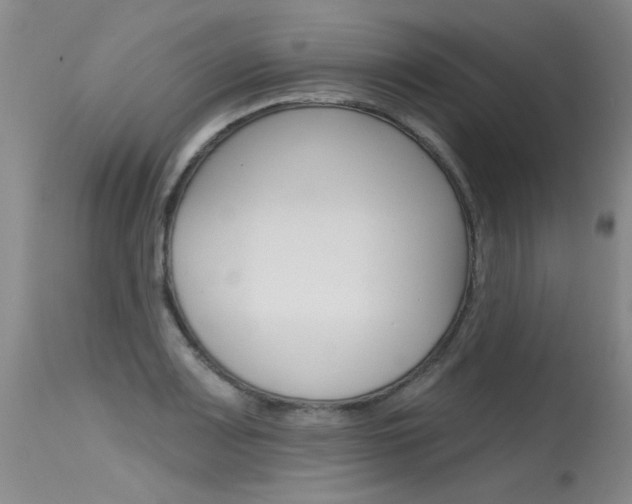 X0000115731083200911121120