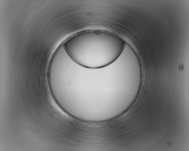 X0000115731084200911121120