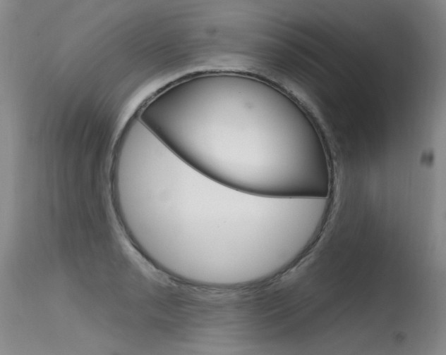 X0000115731085200911121120