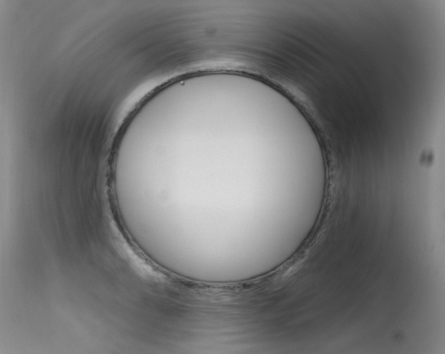 X0000115731086200911121120