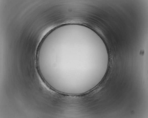 X0000115731087200911121120
