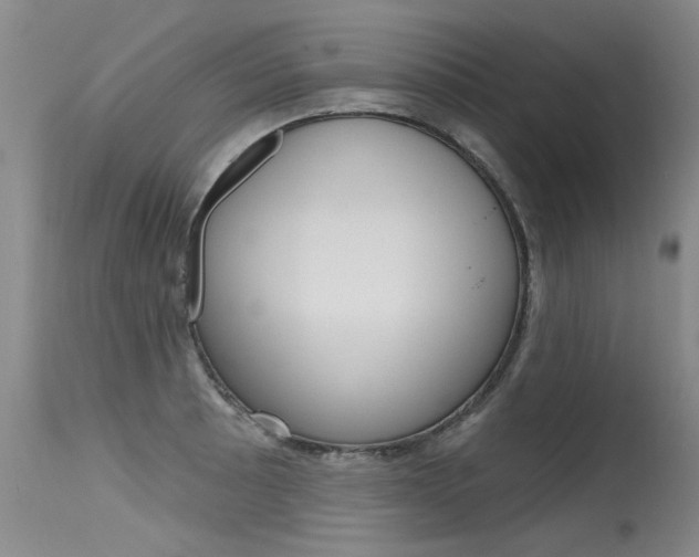 X0000115731089200911121120
