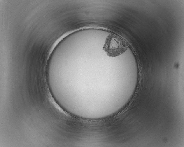 X0000115731092200911121120