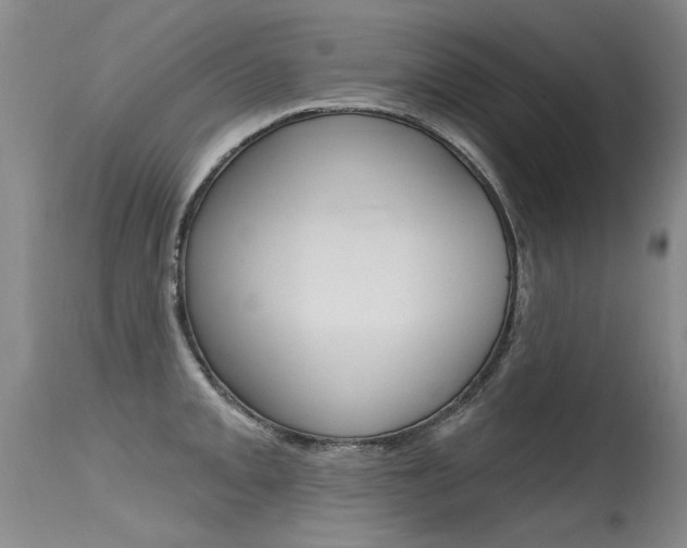 X0000115731093200911121120