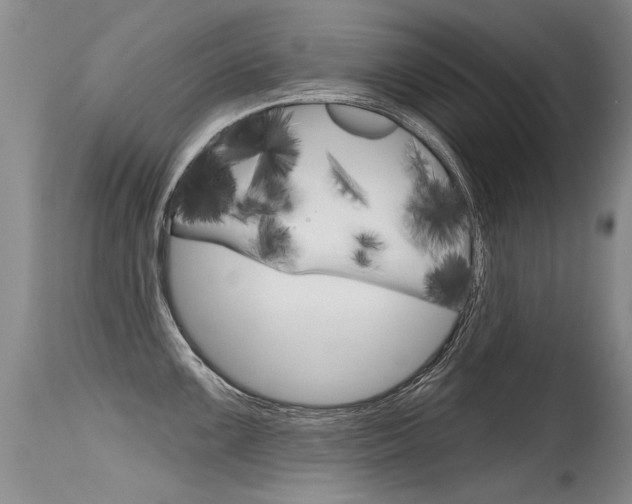 X0000115731099200911121120