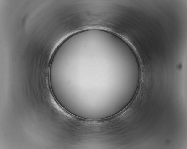 X0000115731100200911121120