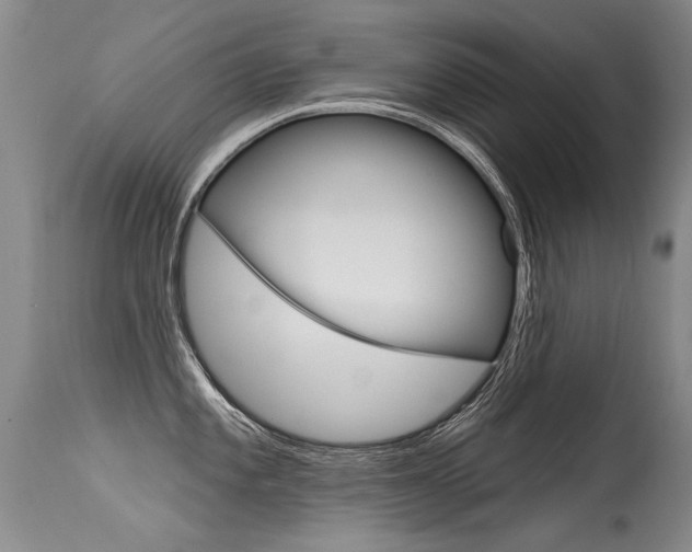 X0000115731101200911121120
