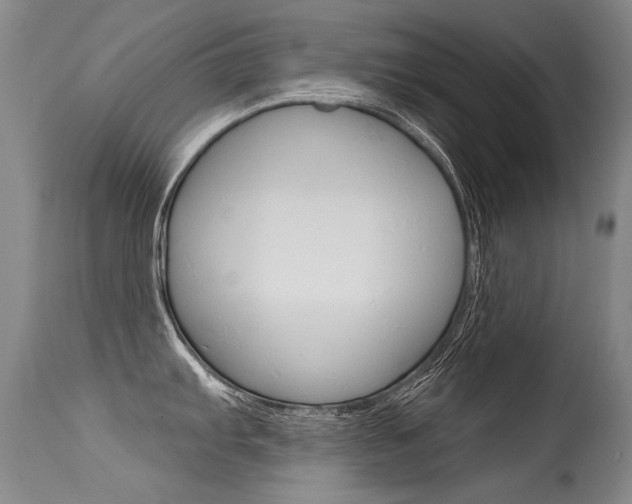 X0000115731103200911121120