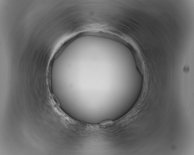 X0000115731104200911121120