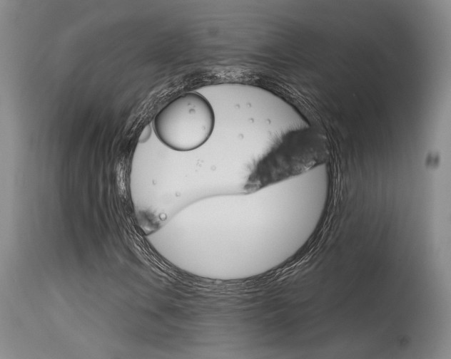 X0000115731106200911121119