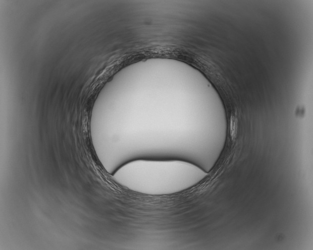 X0000115731107200911121119