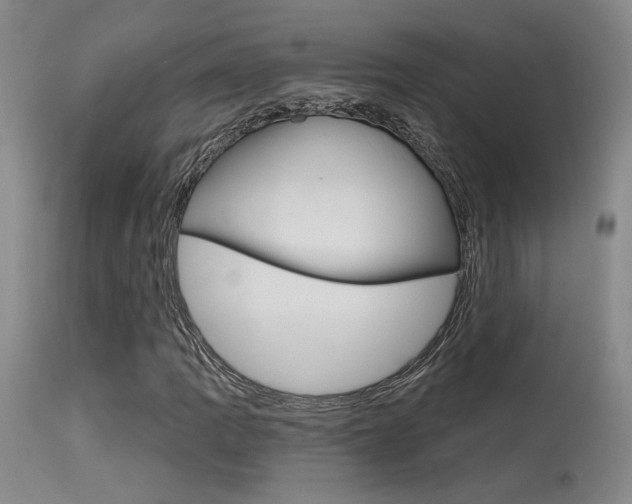 X0000115731109200911121119