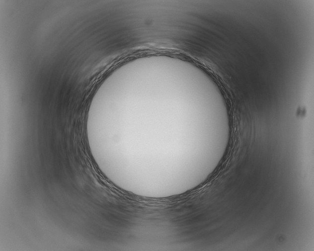 X0000115731110200911121119