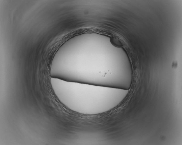 X0000115731111200911121119